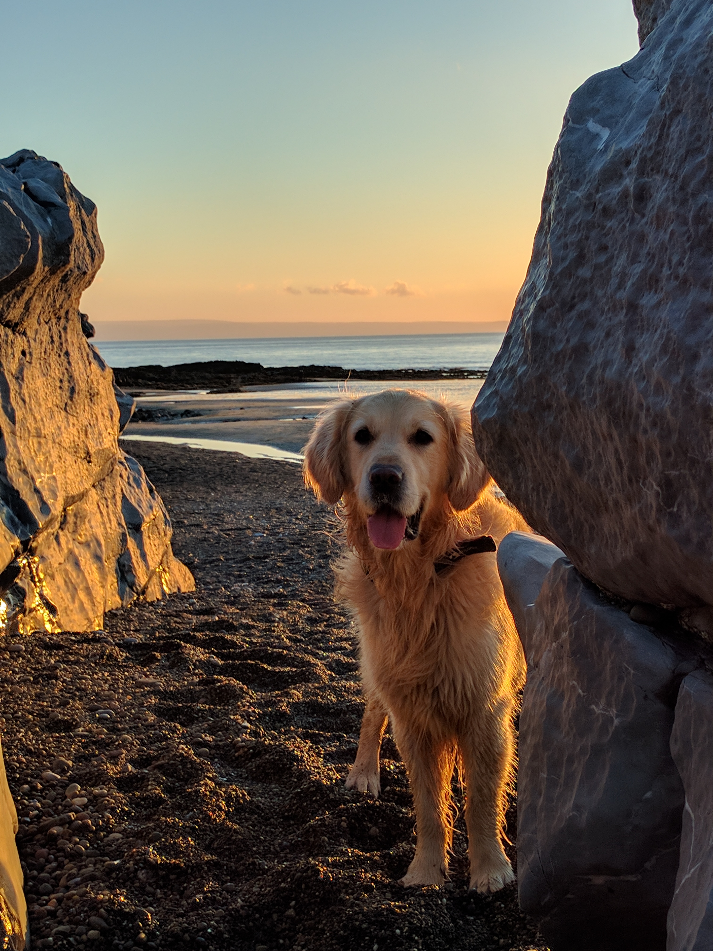 Robbie on the beach